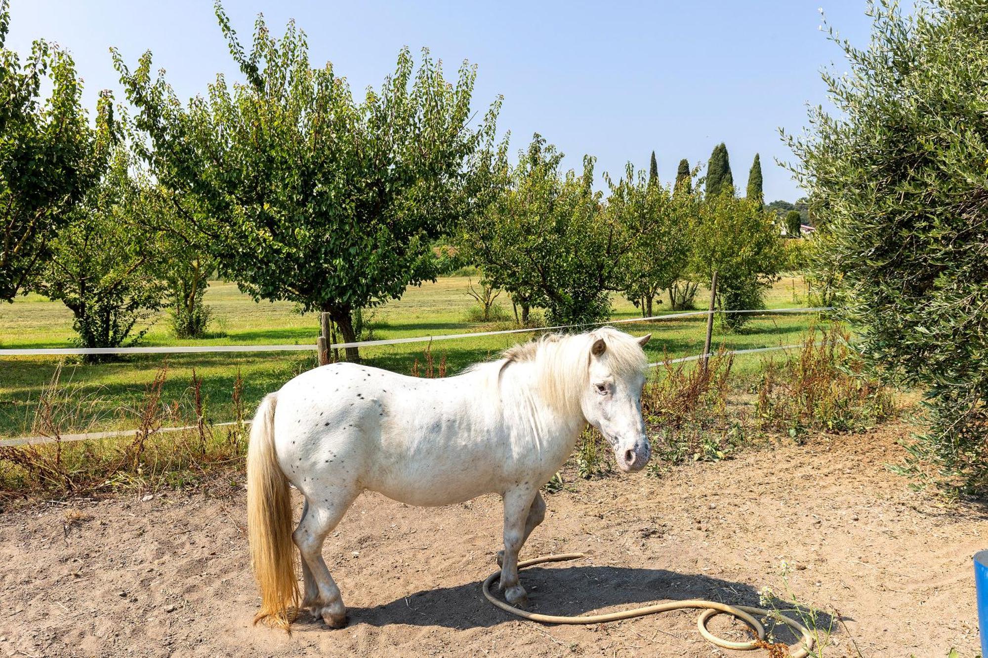New Agriturismo Corte Olfino مونزامبانو المظهر الخارجي الصورة